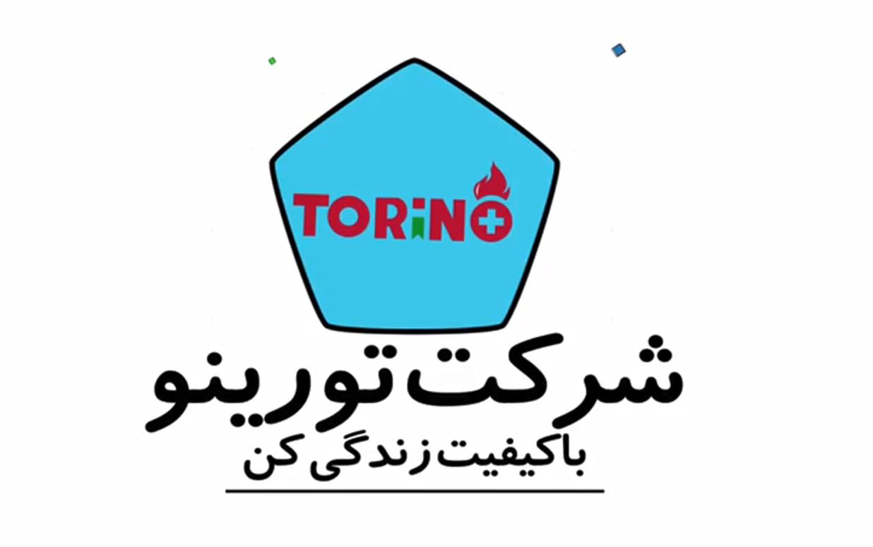 Introduction of Torino Plus Company